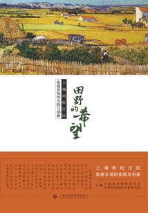 烈日终章