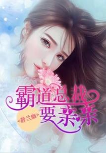 网王之蝴蝶少女