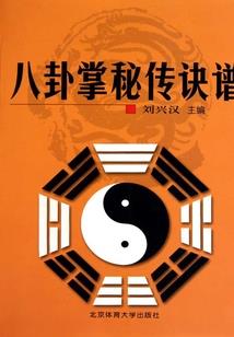 贞观造反录