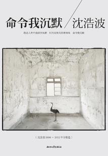 灵式界