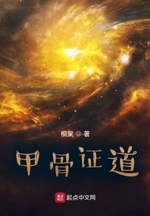 海贼王之盗贼的传说