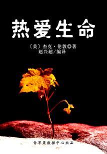 盛世风华之帝少的神秘宠妻