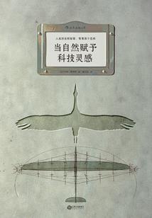 纯白