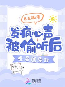 司探