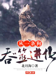 天赐良缘：爱妃，嫁我！