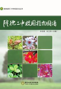 万剑逍魂