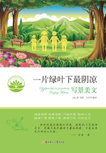 重生校园：软萌男神别撒娇