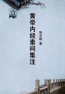 驭夫有道：傻女攻略