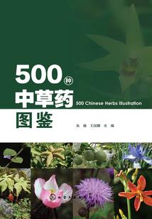 鸿蒙天地之神州