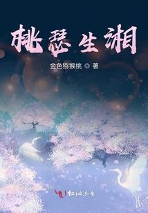 追寻风的足迹的人
