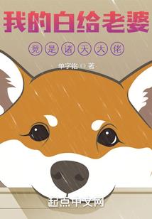 我真没有百宝袋啊