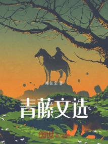 秦岚传记