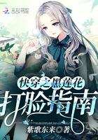 冷情王爷的独宠妃