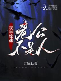 神剑之华