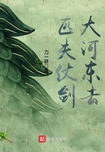 网踪