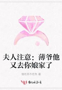 韩少每天都在套路老婆