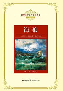 巅峰秩序
