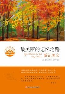 心连入网