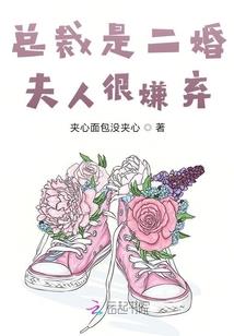 阳阴大陆