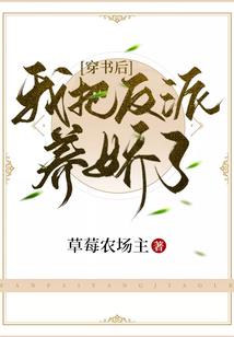 御龙风华录
