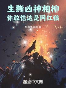 皇帝二十年